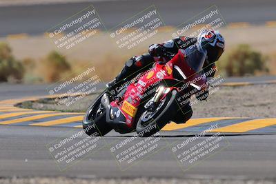 media/Oct-08-2022-SoCal Trackdays (Sat) [[1fc3beec89]]/Turn 14 (1050am)/